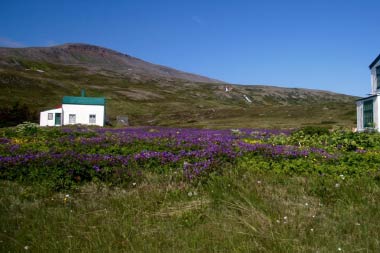 Das Dorf Hesteyri auf der Halbinsel Hornstrandir.