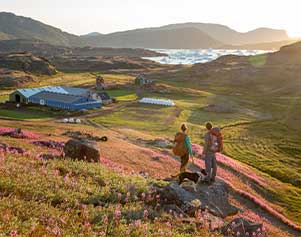 Grünes Kulturland und Eisberge - die unglaublichen Gegensätze Südgrönlands. Visit Greenland. 