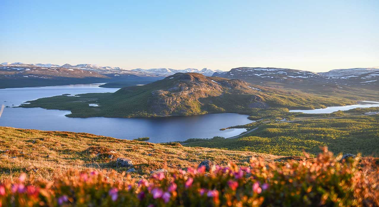 Naturschutzgebiet Malla luonnonpuisto - Suvi Mansikkasalo