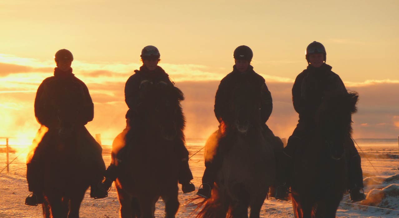 Reiter auf Islandpferde in der weissen Winterlandschaft beim Sonnenuntergang.